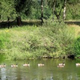 1007G 55 Ruhr Radweg